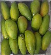 Mangga Thailand